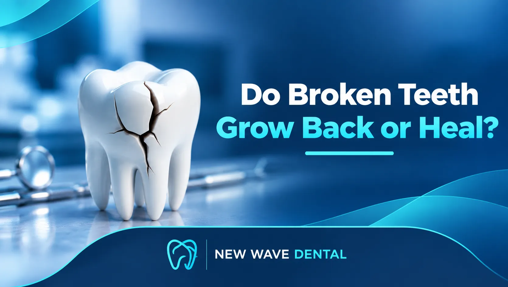 Do Broken Teeth Grow Back